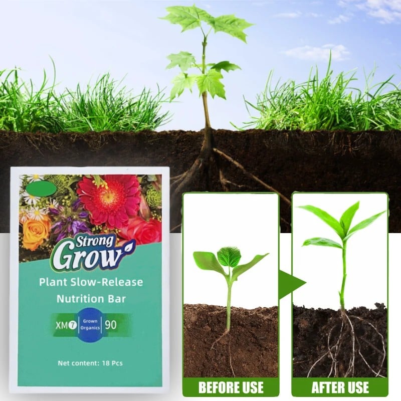 Plant Fertilizer Sticks – Long-Lasting Fertilizer for Healthy Growth