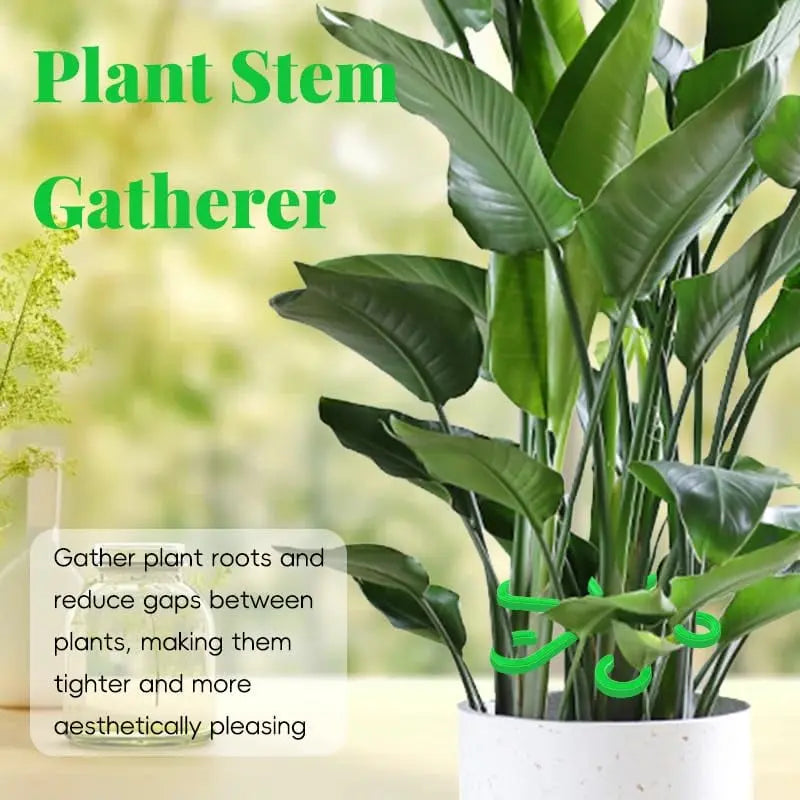 Plant Stem Stabilizer Set – For Healthy Growth & Secure Support