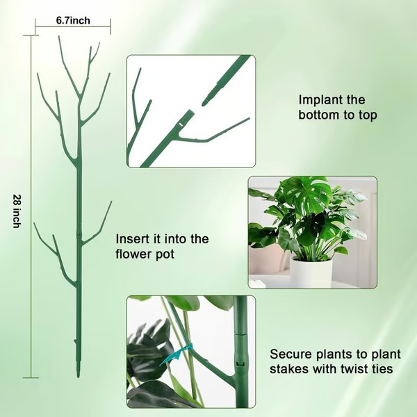 Plant Support Set — Prevents Large Leaf Plants from Tipping Over 5-Piece Set