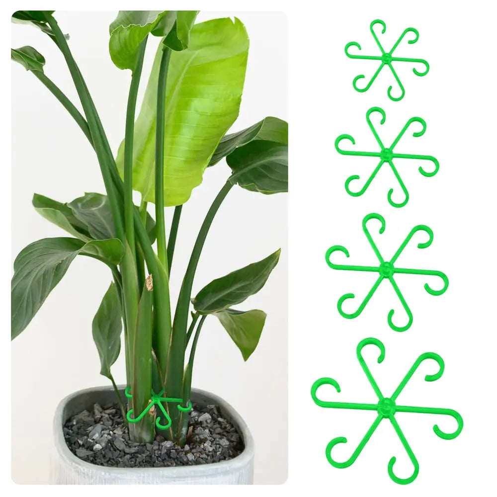 Plant Stem Stabilizer Set – For Healthy Growth & Secure Support