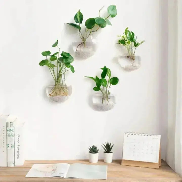 Wall-Mounted Glass Planter for Indoor Plants