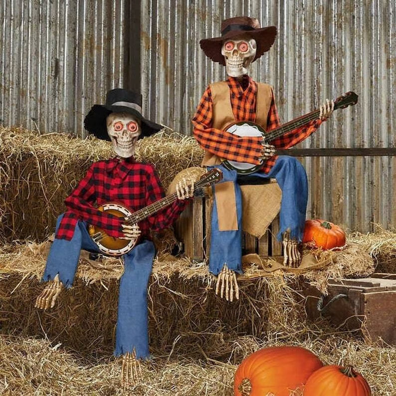 Animated Banjo Duo — Ensures Unforgettable Celebration Joy