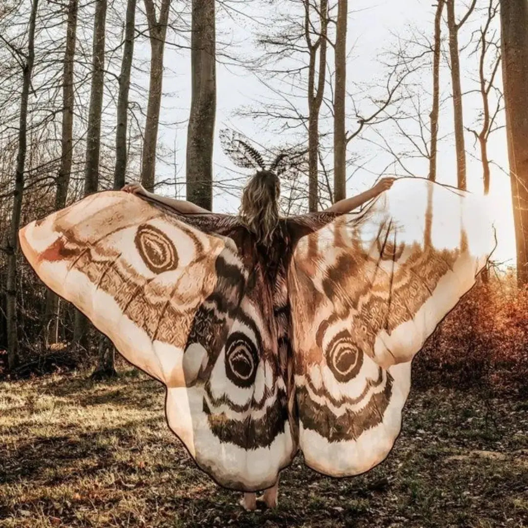 Grey Moth Wings Shawl – Elegance Stunning Cape