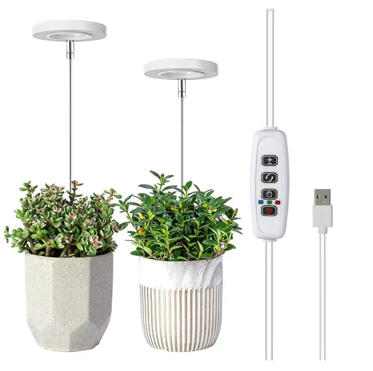 FloraPulse™ — Sunlight Perfected for Indoor Growth