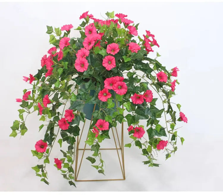 VivaVine™ — Effortless Year-Round Blooming