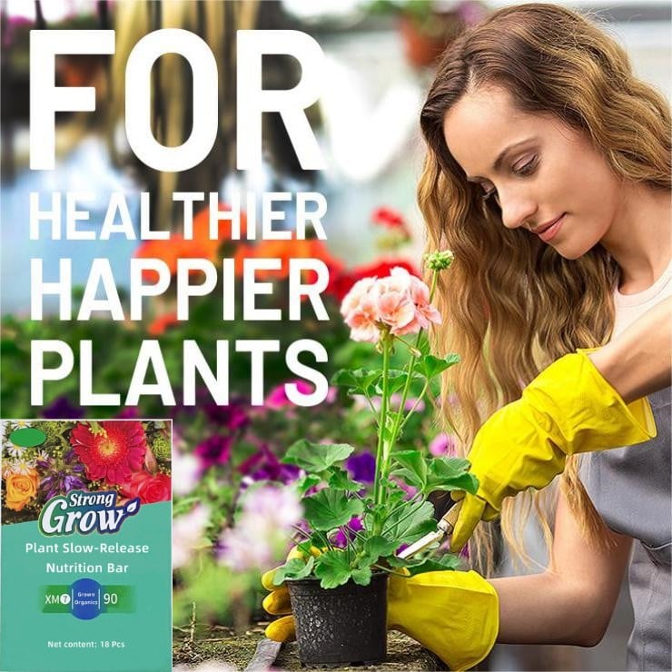 Plant Fertilizer Sticks – Long-Lasting Fertilizer for Healthy Growth