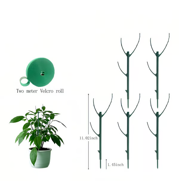 Plant Support Set — Prevents Large Leaf Plants from Tipping Over 5-Piece Set