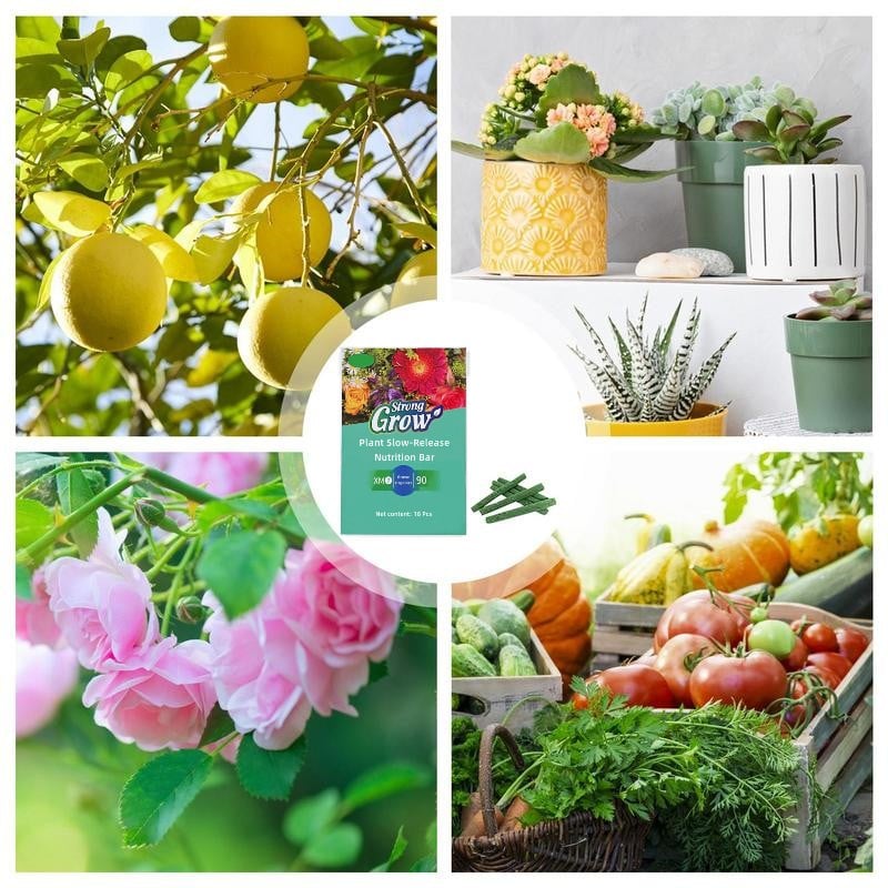 Plant Fertilizer Sticks – Long-Lasting Fertilizer for Healthy Growth