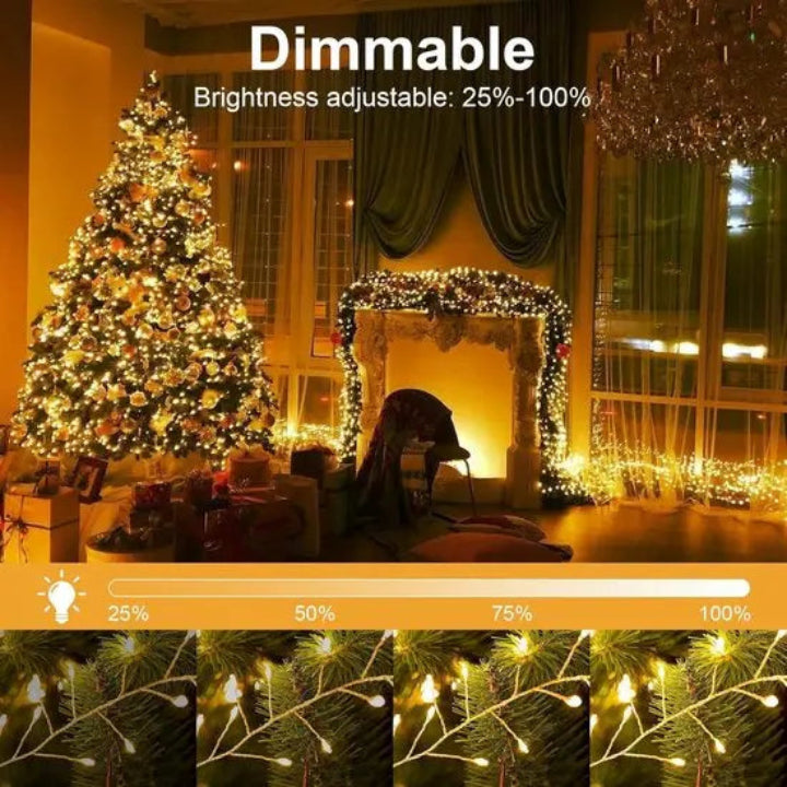 LED Fairy Lights – The Perfect Way to Add Sparkle and Charm to Any Room or Gift