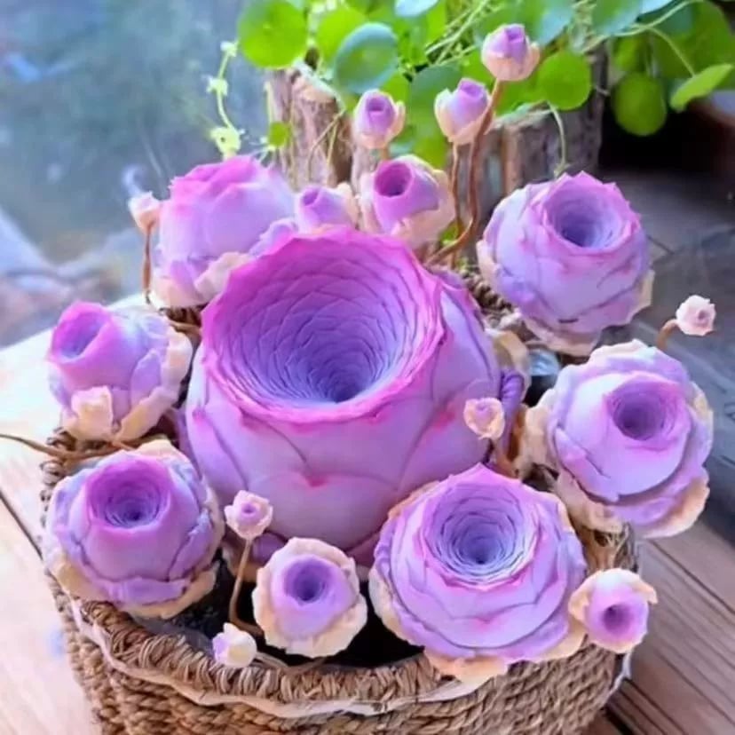 RosaViva™ — Vibrant Rose Beauty That Thrives