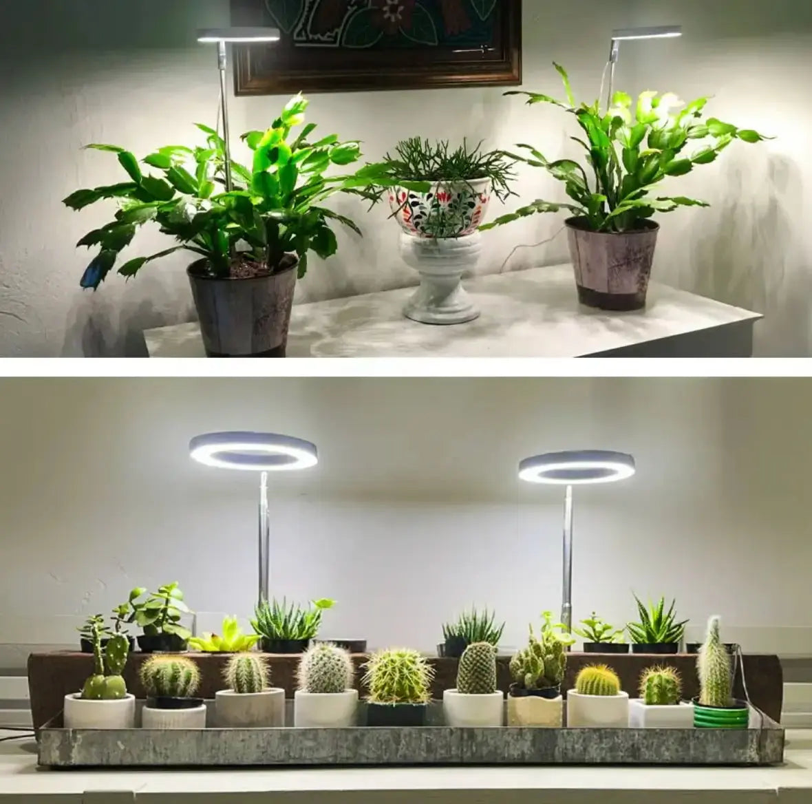 FloraPulse™ — Sunlight Perfected for Indoor Growth