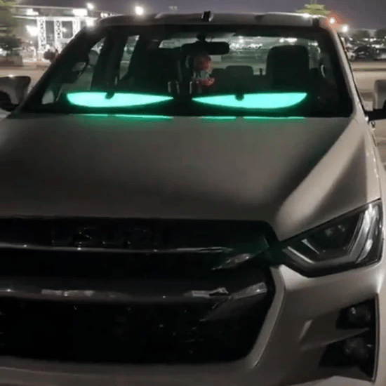 Animated LED Display Panel — App-Controlled Vehicle Windshield Sign (2 Pieces)
