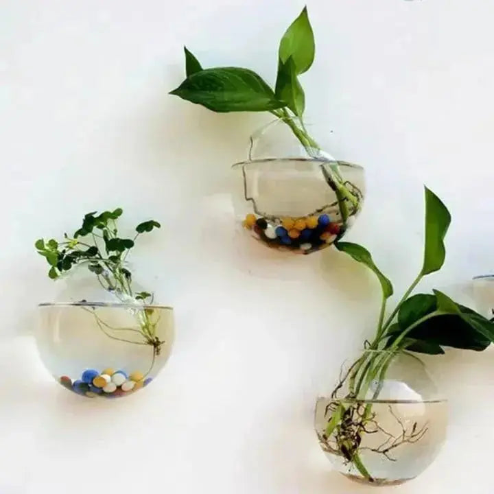 Wall-Mounted Glass Planter for Indoor Plants