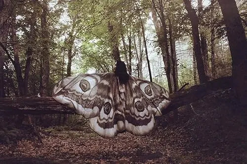Grey Moth Wings Shawl – Elegance Stunning Cape