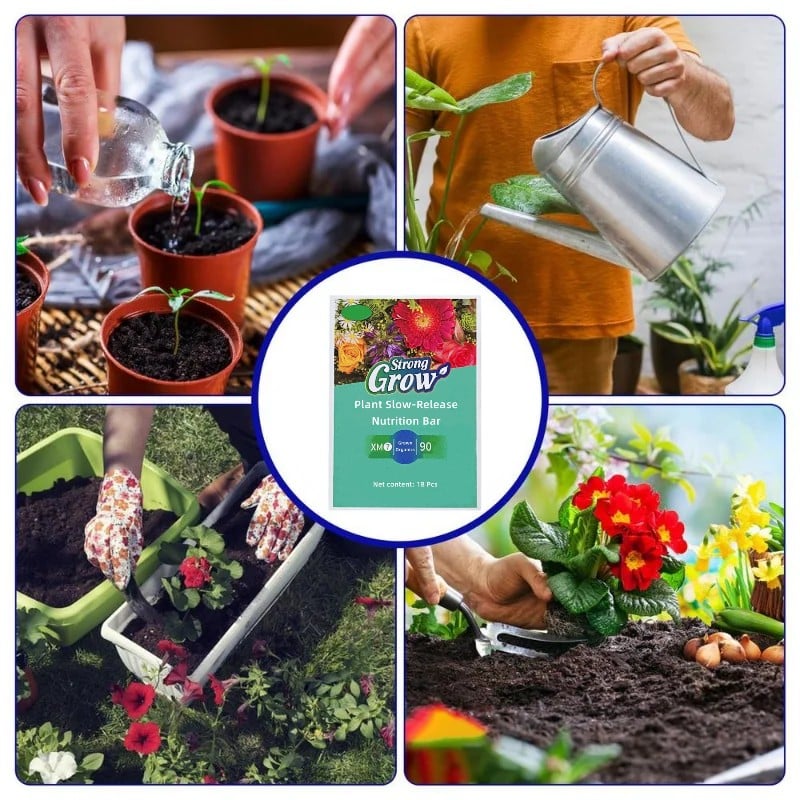 Plant Fertilizer Sticks – Long-Lasting Fertilizer for Healthy Growth