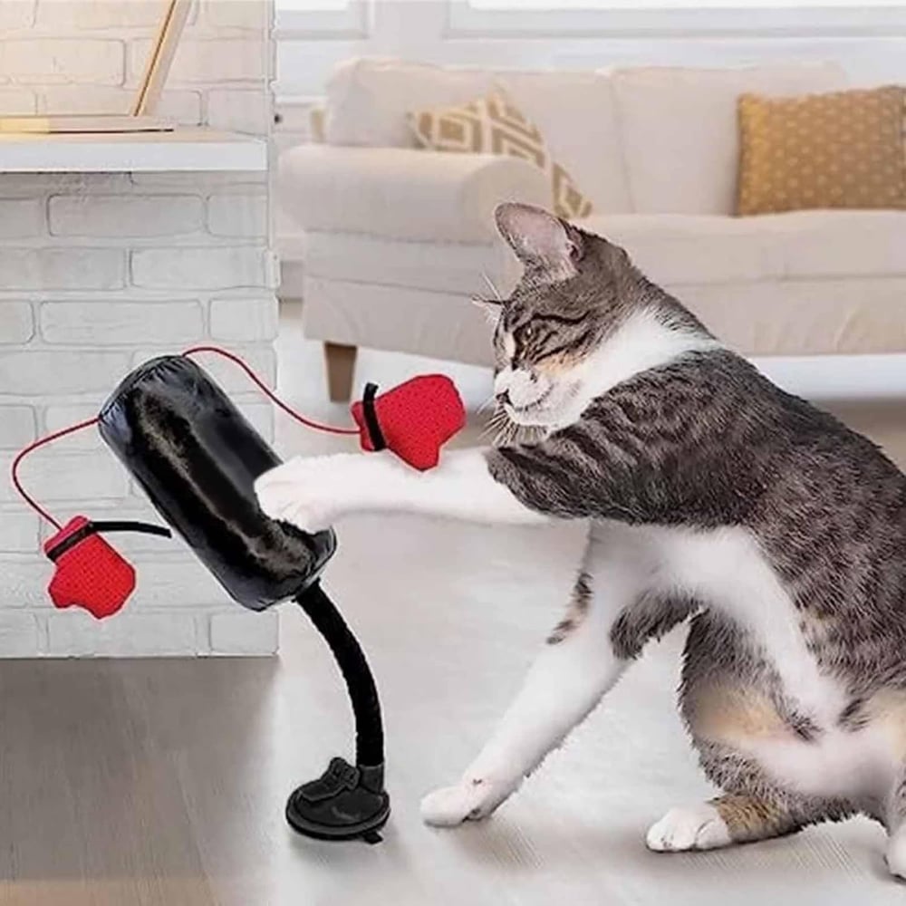 Cat Toy — Natural Hunting Instinct and Play Fun