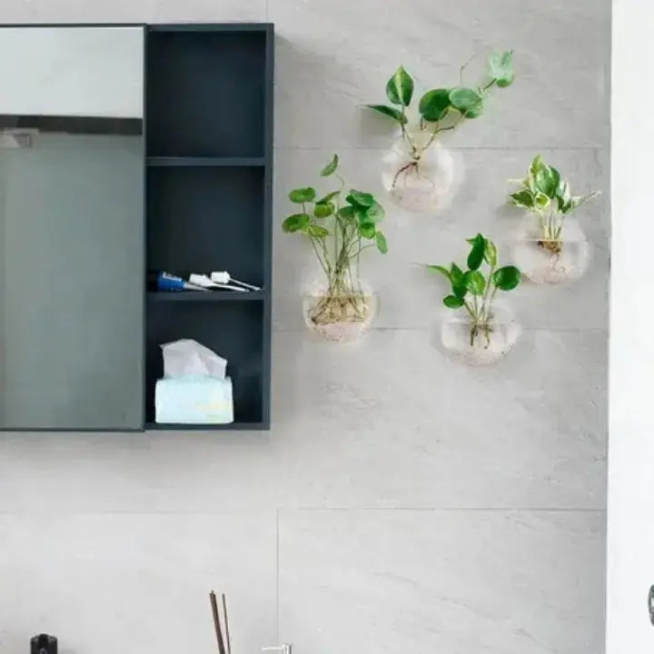 Wall-Mounted Glass Planter for Indoor Plants