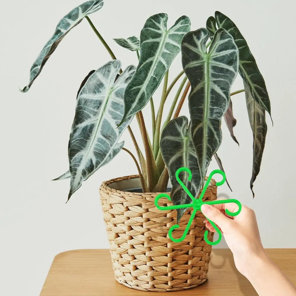Plant Stem Stabilizer Set – For Healthy Growth & Secure Support