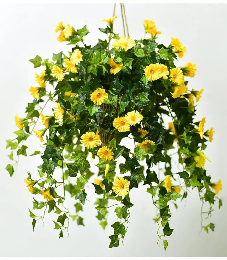 VivaVine™ — Effortless Year-Round Blooming