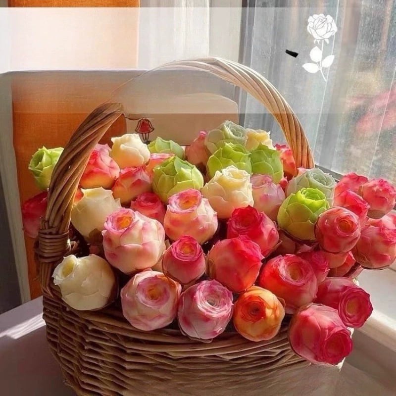 RosaViva™ — Vibrant Rose Beauty That Thrives