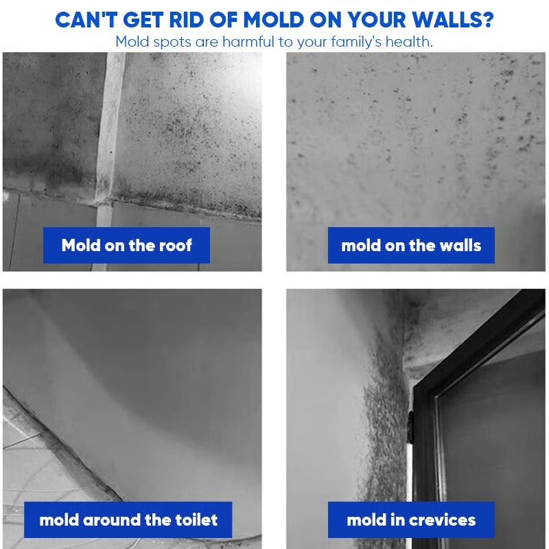 Fast-acting Anti-Mold Spray — No Scrubbing Required