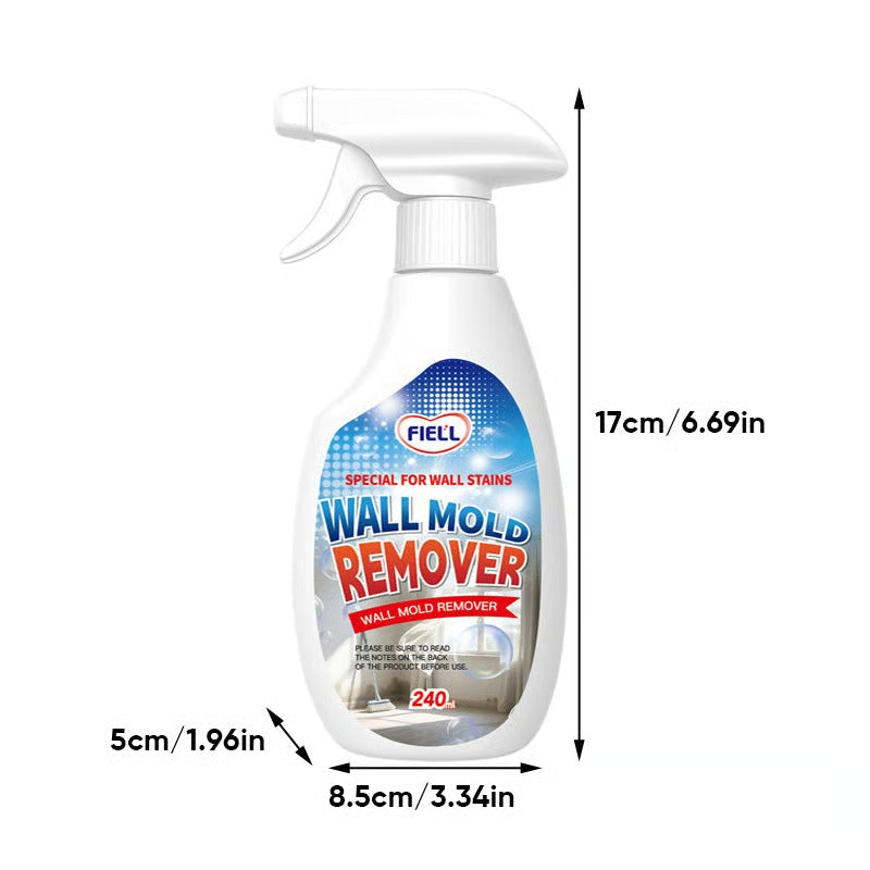 Fast-acting Anti-Mold Spray — No Scrubbing Required