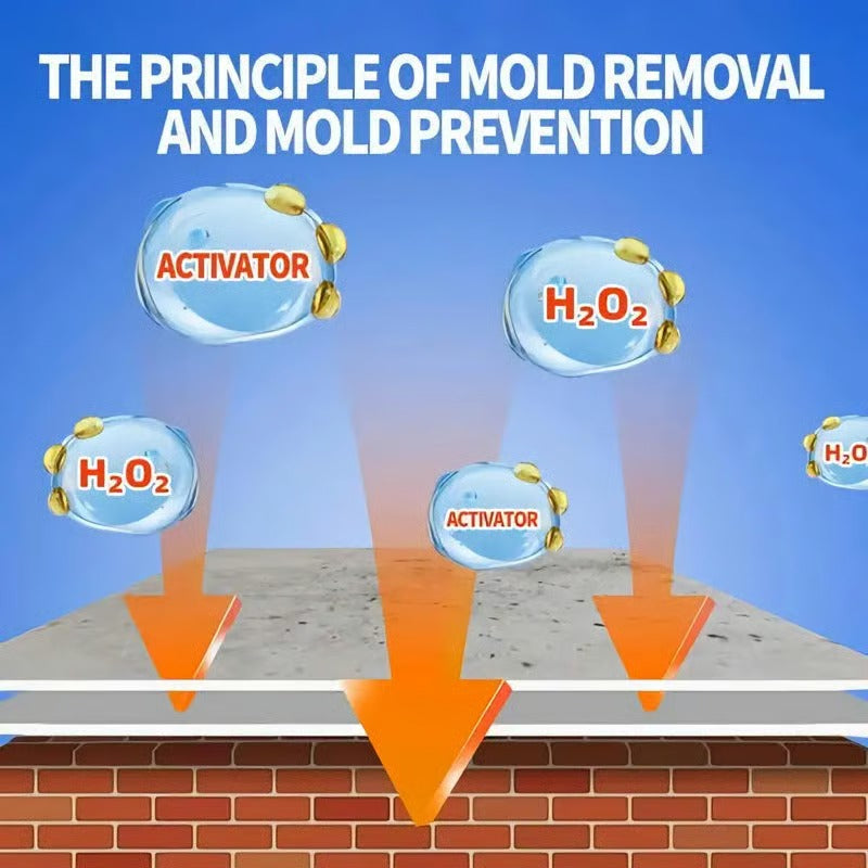 Fast-acting Anti-Mold Spray — No Scrubbing Required
