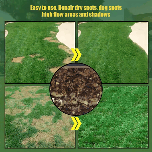 EvergreenVibe™ — Lush Lawn, All Seasons