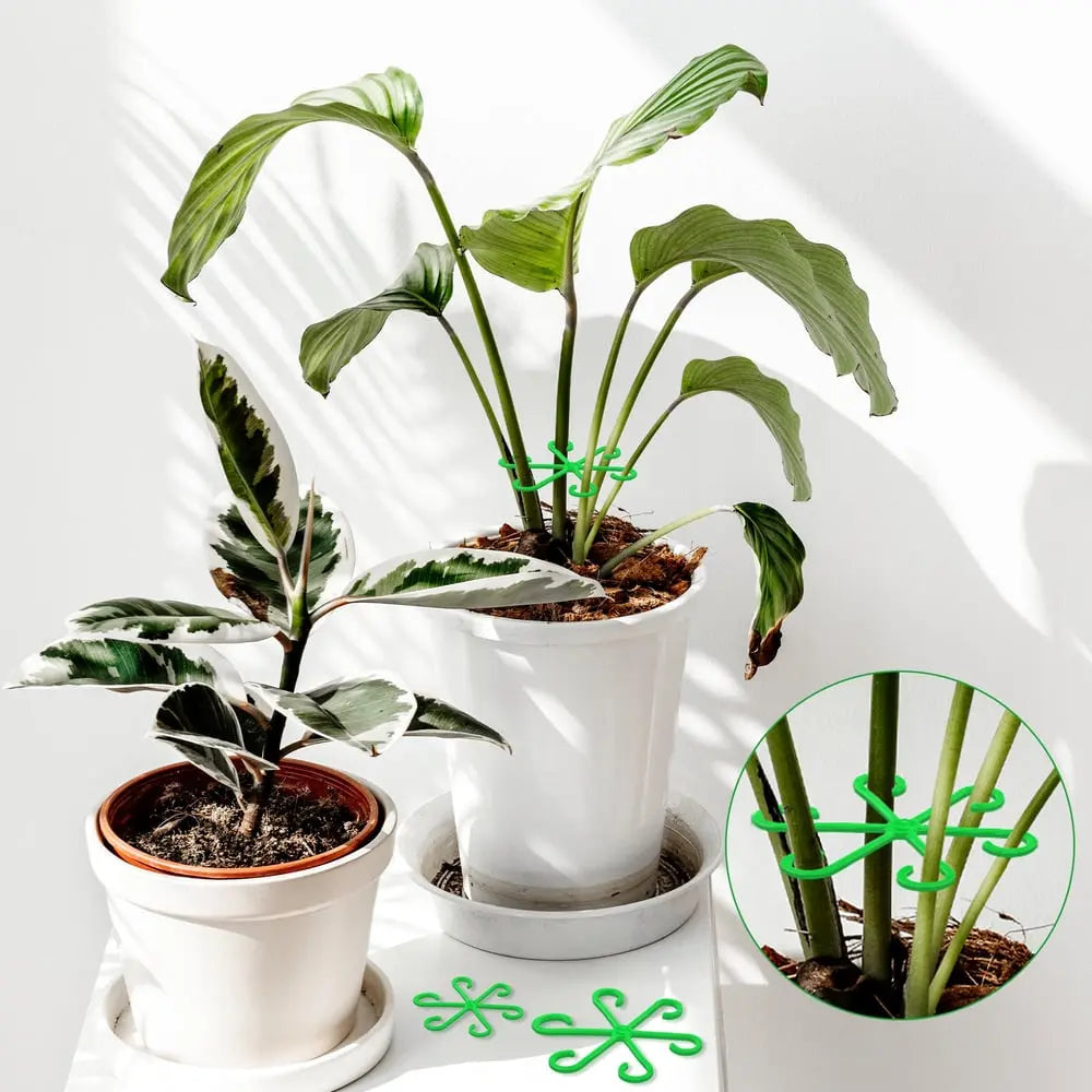 Plant Stem Stabilizer Set – For Healthy Growth & Secure Support