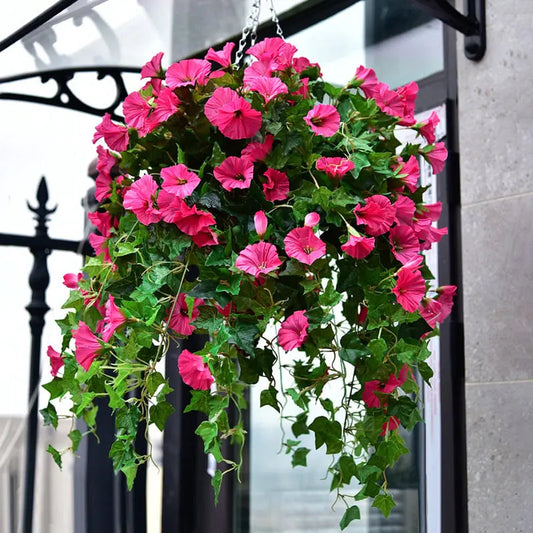 VivaVine™ — Effortless Year-Round Blooming