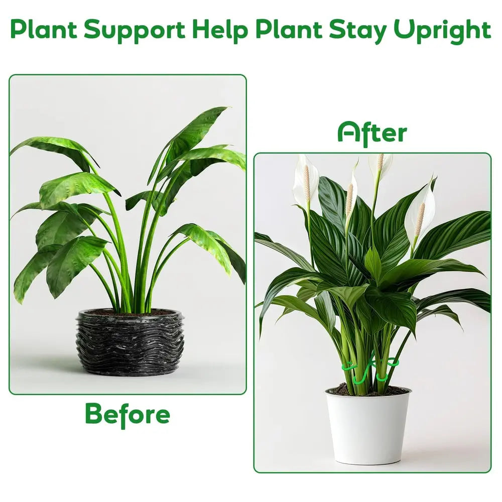 Plant Stem Stabilizer Set – For Healthy Growth & Secure Support
