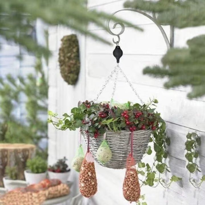 BUY 2 GET 2 FREE | Easy Plant Hanging Set