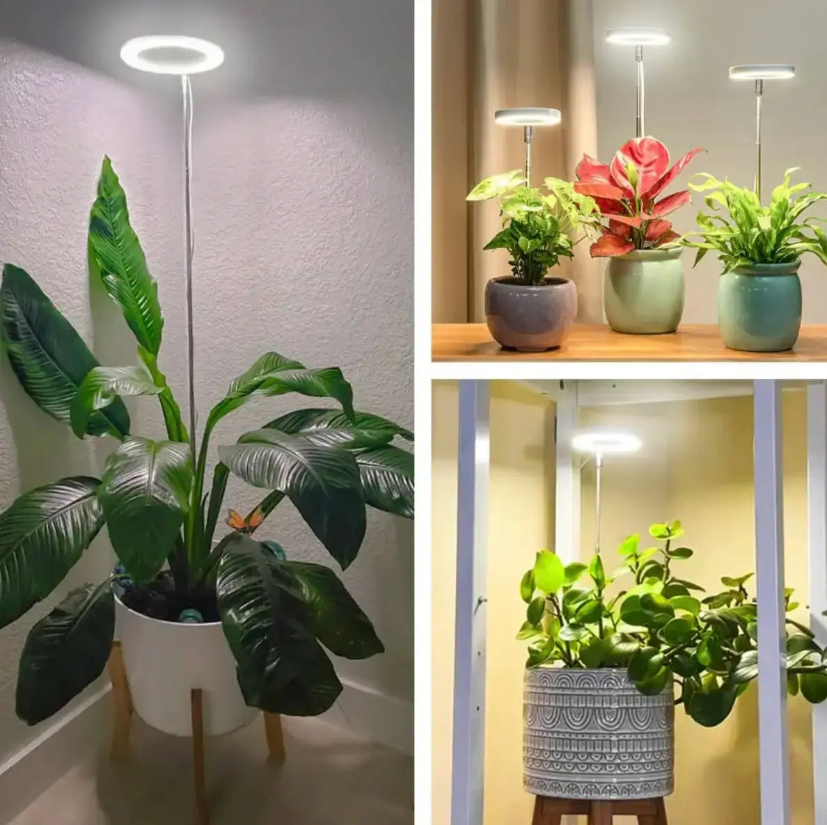 FloraPulse™ — Sunlight Perfected for Indoor Growth