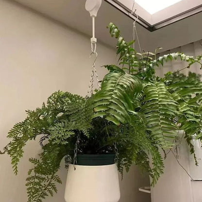 BUY 2 GET 2 FREE | Easy Plant Hanging Set