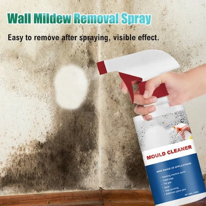 BUY 1 GET 1 FREE | Powerful Anti-Mold Foam Spray – Deep Cleaning & Protection