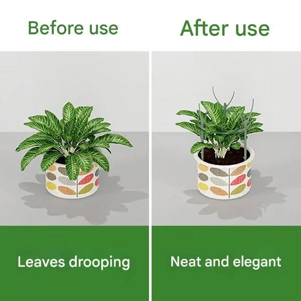 Plant Support Set — Prevents Large Leaf Plants from Tipping Over 5-Piece Set