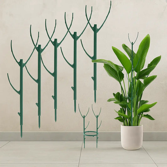 Plant Support Set — Prevents Large Leaf Plants from Tipping Over 5-Piece Set