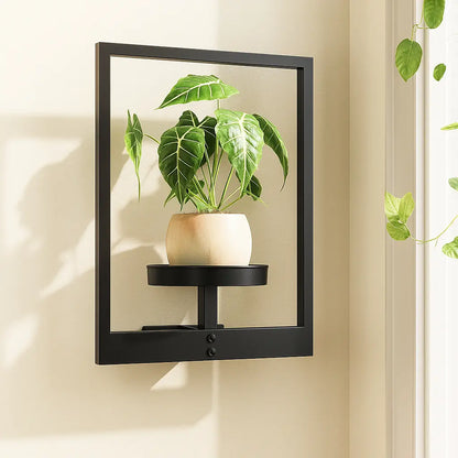 Wandpflanzenhalter — mehr Leben und Stil an der Wand Mivoza Deutschland