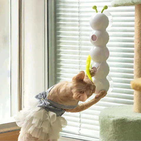 PurrWhirl – Interactive Cat Toy with Worm Motion Mivoza Deutschland