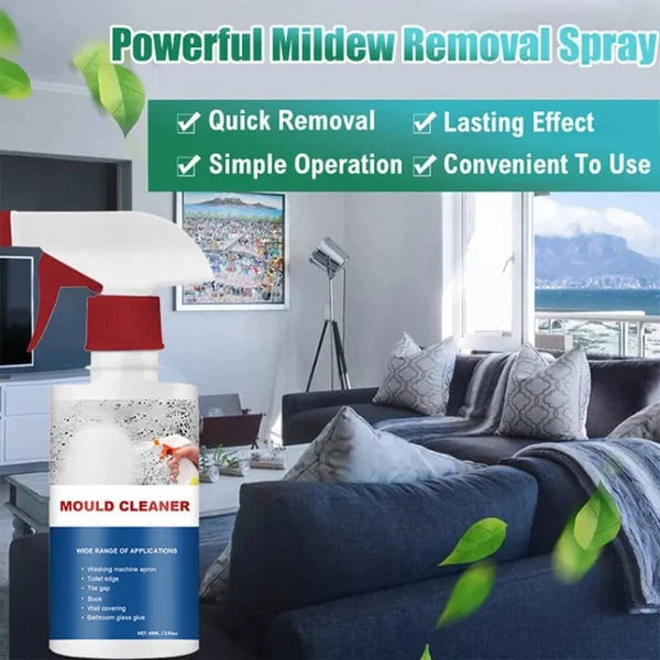 BUY 1 GET 1 FREE | Powerful Anti-Mold Foam Spray – Deep Cleaning & Protection