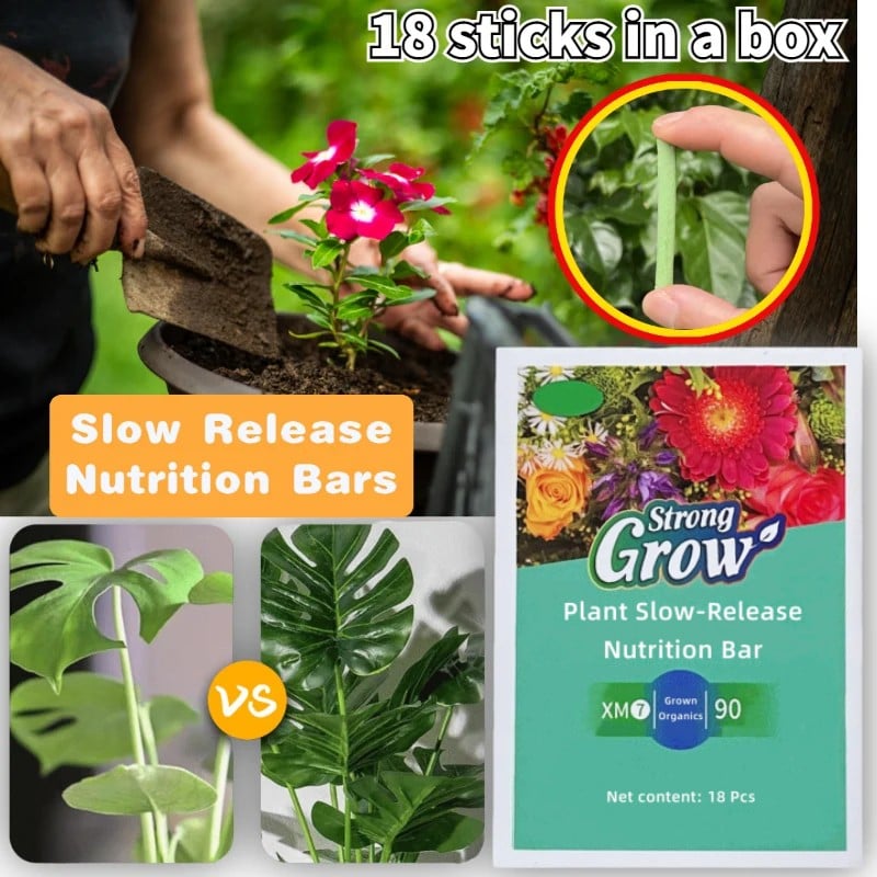 Plant Fertilizer Sticks – Long-Lasting Fertilizer for Healthy Growth
