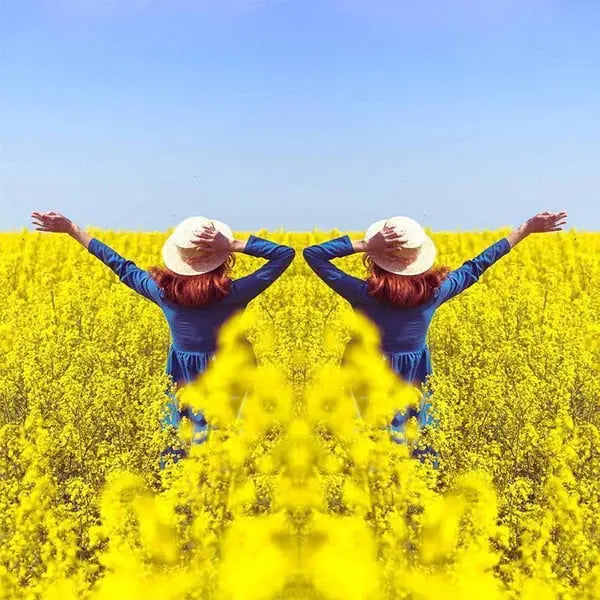 Kamera-Spiegelreflektor Clip — Für kreative & künstlerische Aufnahmen Mivoza Deutschland