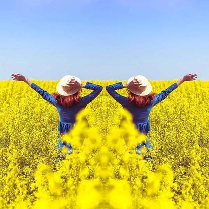 Kamera-Spiegelreflektor Clip — Für kreative & künstlerische Aufnahmen Mivoza Deutschland