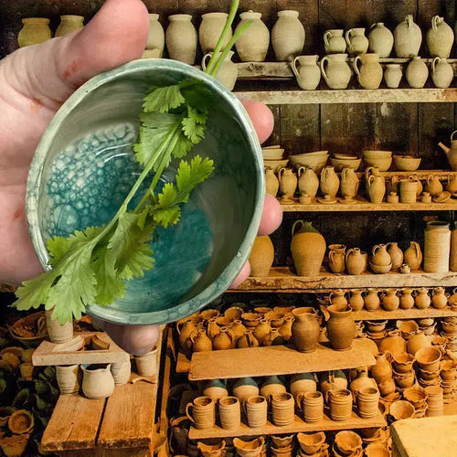 Buy 1 Get 1 Free | Verdanta™ — Instant Herb Stripping, Zero Waste