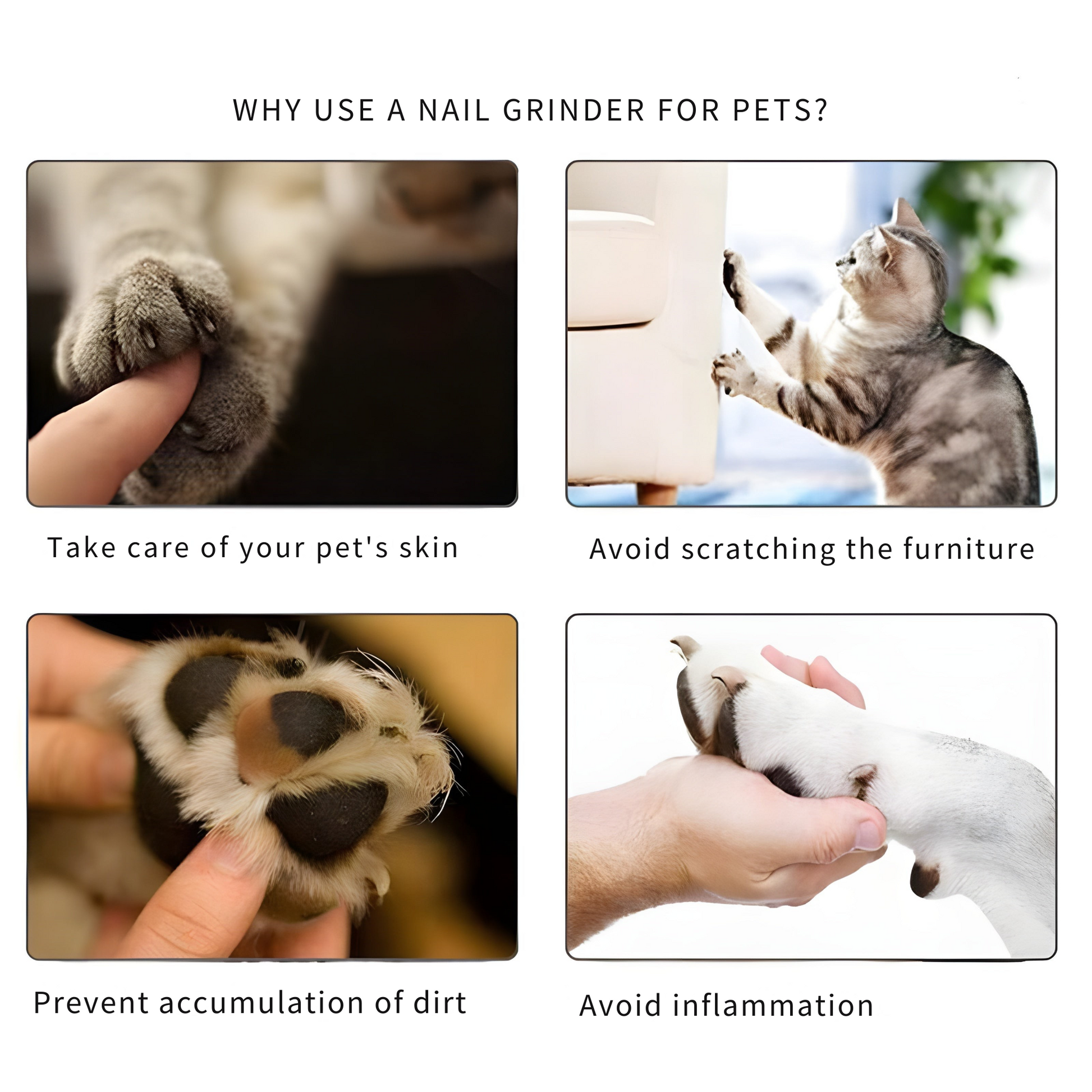 Lime à ongles sans stress pour votre animal Mivoza Deutschland