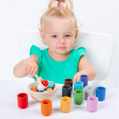 Color-Matching Wooden Set for Calm Learning