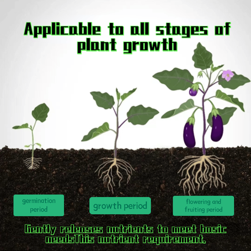 Plant Fertilizer Sticks – Long-Lasting Fertilizer for Healthy Growth
