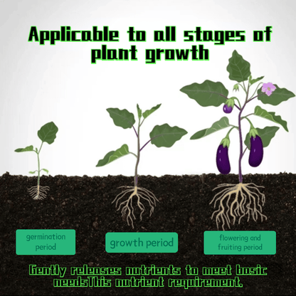 Plant Fertilizer Sticks – Long-Lasting Fertilizer for Healthy Growth