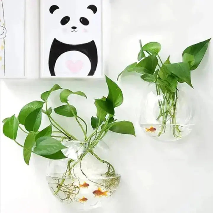 Wall-Mounted Glass Planter for Indoor Plants