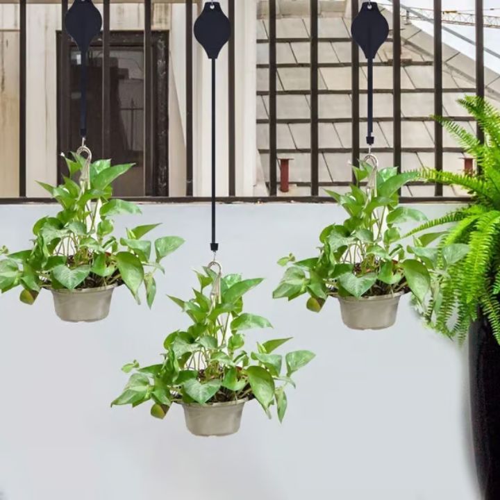 BUY 2 GET 2 FREE | Easy Plant Hanging Set